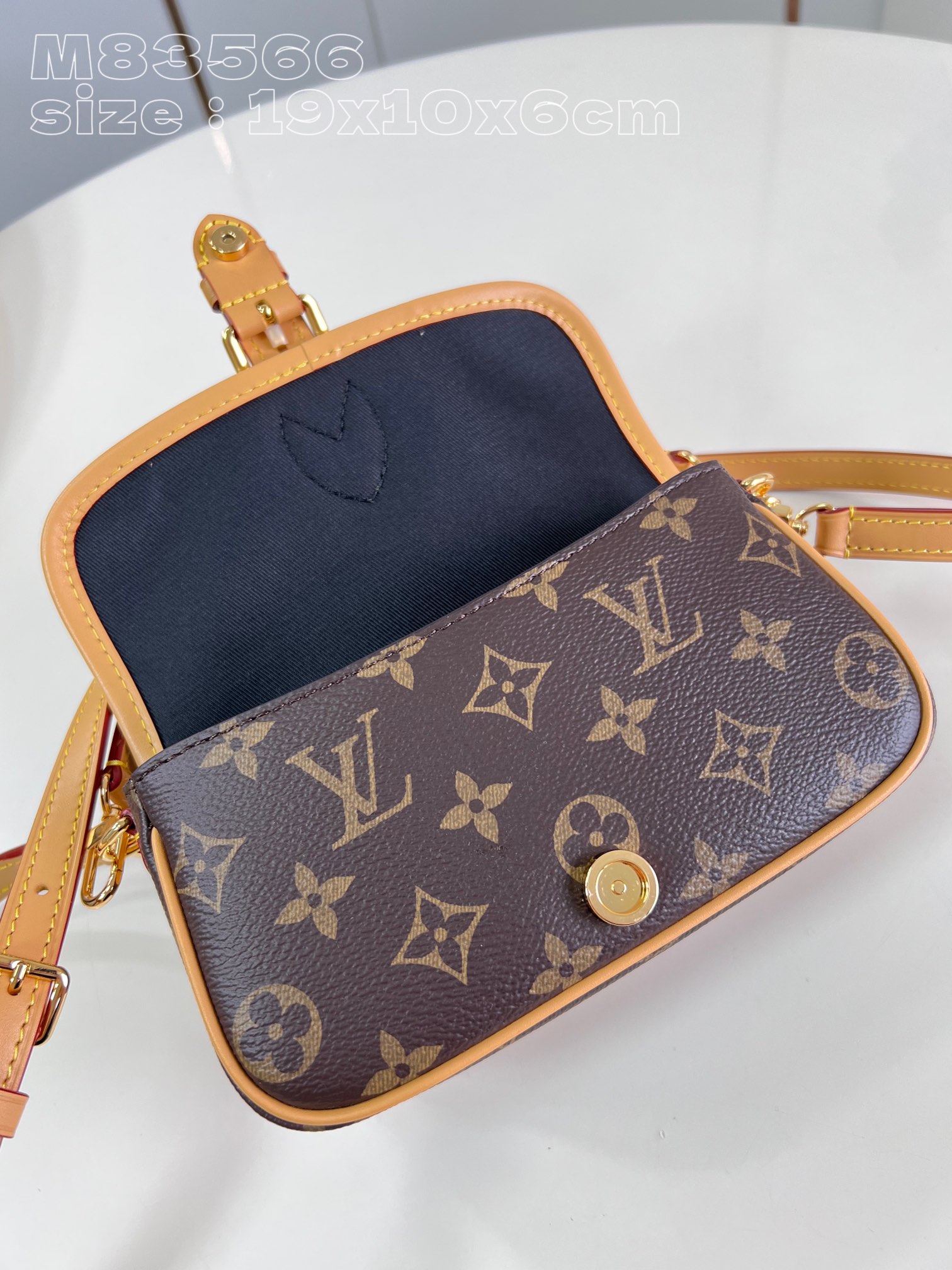 Louis Vuitton Satchel Bags